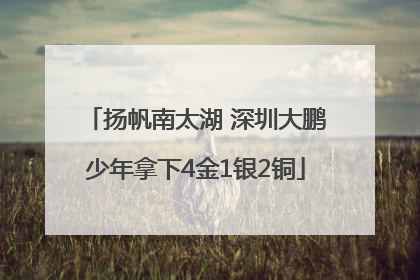 扬帆南太湖 深圳大鹏少年拿下4金1银2铜