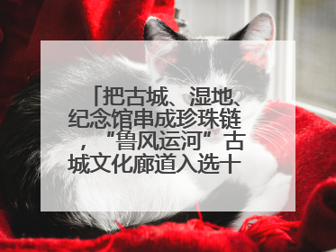 把古城、湿地、纪念馆串成珍珠链，“鲁风运河”古城文化廊道入选十大最美农村路