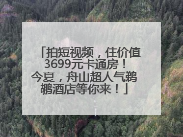 拍短视频，住价值3699元卡通房！今夏，舟山超人气鹈鹕酒店等你来！