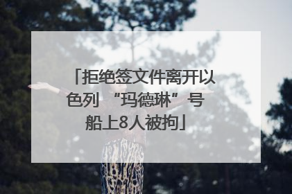 拒绝签文件离开以色列 “玛德琳”号船上8人被拘
