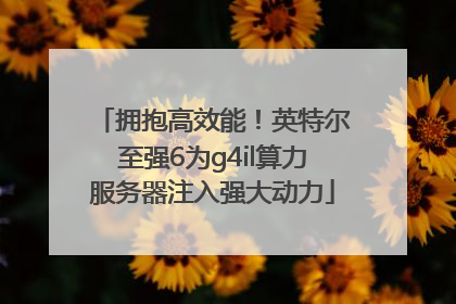 拥抱高效能！英特尔至强6为g4il算力服务器注入强大动力