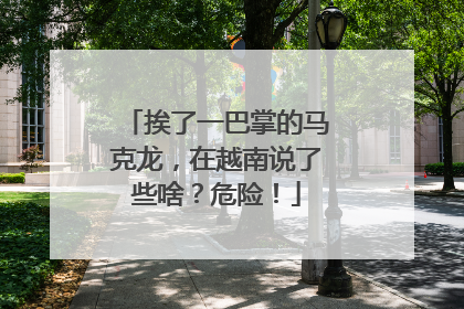 挨了一巴掌的马克龙，在越南说了些啥？危险！