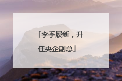 李季履新，升任央企副总