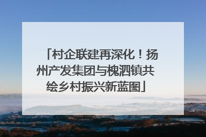 村企联建再深化！扬州产发集团与槐泗镇共绘乡村振兴新蓝图