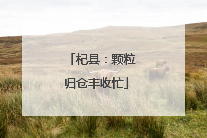 杞县：颗粒归仓丰收忙