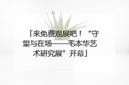 来免费观展吧！“守望与在场——毛本华艺术研究展”开幕
