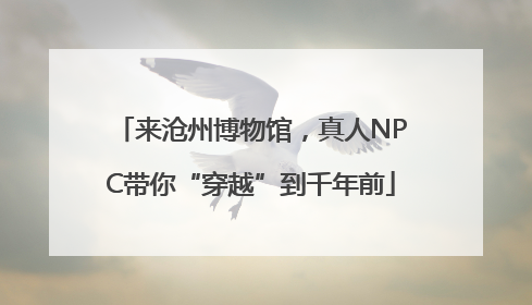 来沧州博物馆，真人NPC带你“穿越”到千年前