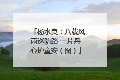 杨水良：八载风雨巡防路 一片丹心护童安（图）