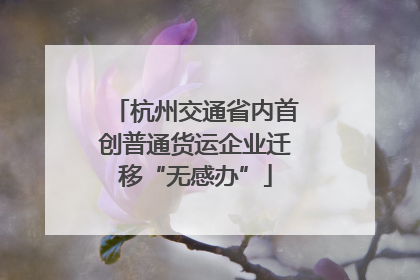 杭州交通省内首创普通货运企业迁移“无感办”