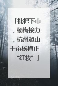 枇杷下市，杨梅接力，杭州超山千亩杨梅正“红妆”