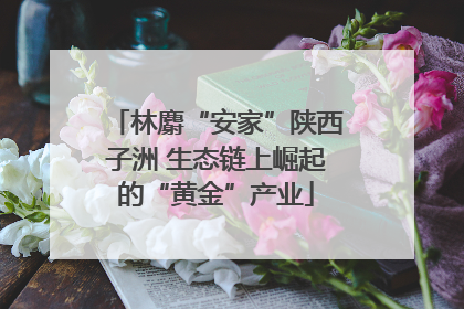 林麝“安家”陕西子洲 生态链上崛起的“黄金”产业