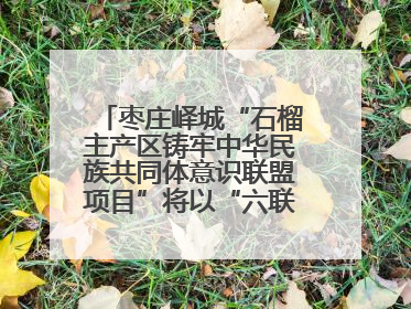 枣庄峄城“石榴主产区铸牢中华民族共同体意识联盟项目”将以“六联”活动为抓手深化品牌建设