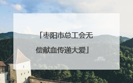 枣阳市总工会无偿献血传递大爱