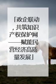 政企联动，共筑知识产权保护网——赋能民营经济高质量发展