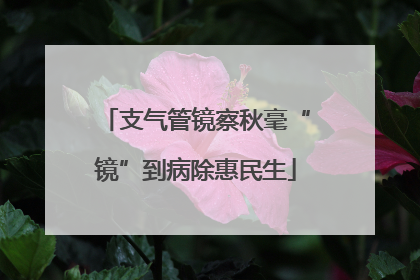 支气管镜察秋毫“镜”到病除惠民生