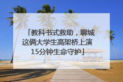 教科书式救助，聊城这俩大学生高架桥上演15分钟生命守护
