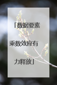数据要素乘数效应有力释放