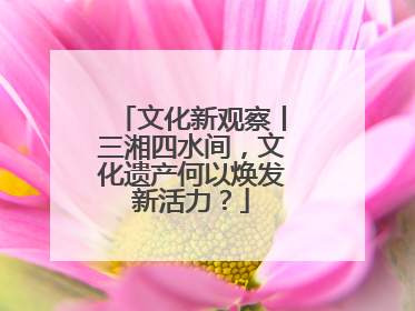 文化新观察丨三湘四水间，文化遗产何以焕发新活力？