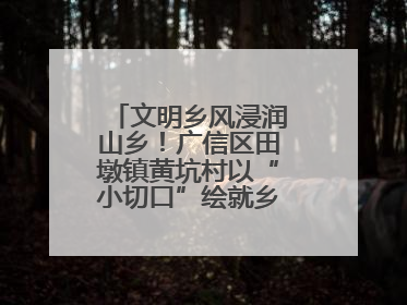 文明乡风浸润山乡！广信区田墩镇黄坑村以“小切口”绘就乡村振兴大图景