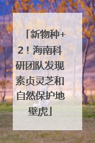 新物种+2！海南科研团队发现素贞灵芝和自然保护地壁虎