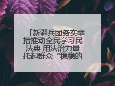 新疆兵团务实举措推动全民学习民法典 用法治力量托起群众“稳稳的幸福”