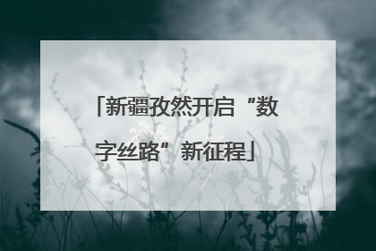 新疆孜然开启“数字丝路”新征程