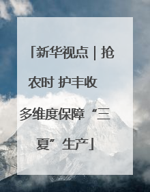 新华视点｜抢农时 护丰收 多维度保障“三夏”生产