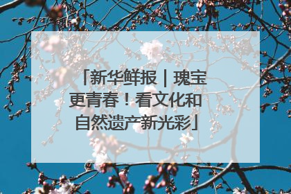 新华鲜报｜瑰宝更青春！看文化和自然遗产新光彩