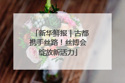 新华鲜报｜古都携手丝路！丝博会绽放新活力