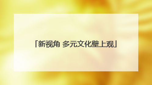 新视角 多元文化壁上观