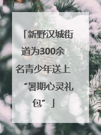 新野汉城街道为300余名青少年送上“暑期心灵礼包”