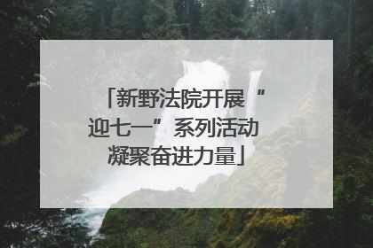 新野法院开展“迎七一”系列活动 凝聚奋进力量