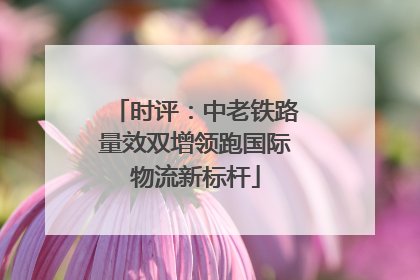 时评：中老铁路量效双增领跑国际物流新标杆