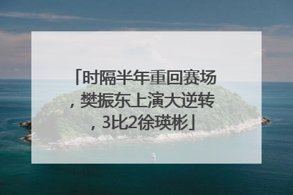 时隔半年重回赛场，樊振东上演大逆转，3比2徐瑛彬
