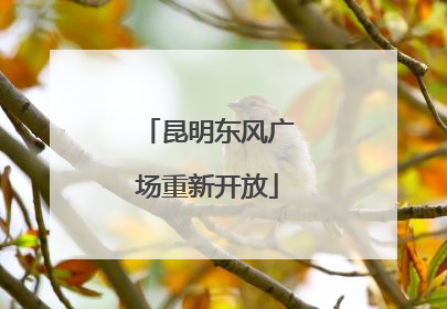昆明东风广场重新开放