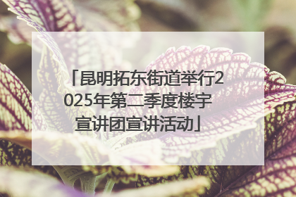 昆明拓东街道举行2025年第二季度楼宇宣讲团宣讲活动