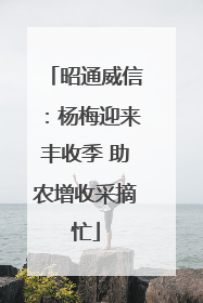 昭通威信：杨梅迎来丰收季 助农增收采摘忙