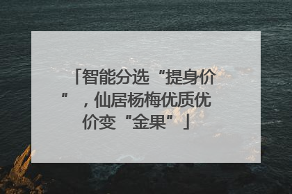 智能分选“提身价”，仙居杨梅优质优价变“金果”