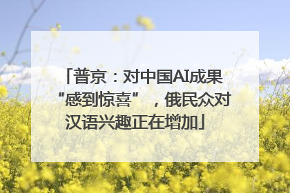 普京：对中国AI成果“感到惊喜”，俄民众对汉语兴趣正在增加