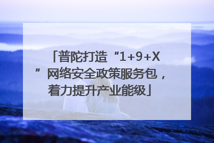 普陀打造“1+9+X”网络安全政策服务包，着力提升产业能级
