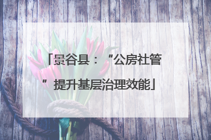 景谷县：“公房社管”提升基层治理效能