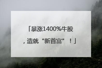暴涨1400%牛股，造就“新首富”！