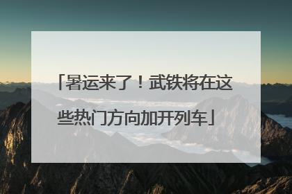 暑运来了！武铁将在这些热门方向加开列车