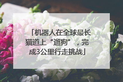 机器人在全球最长猫道上“遛狗”，完成3公里行走挑战