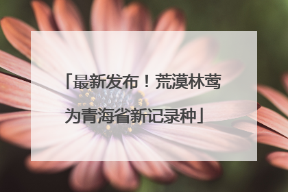 最新发布！荒漠林莺为青海省新记录种