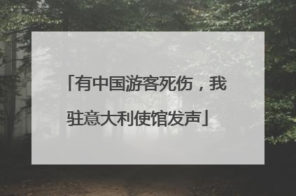 有中国游客死伤，我驻意大利使馆发声