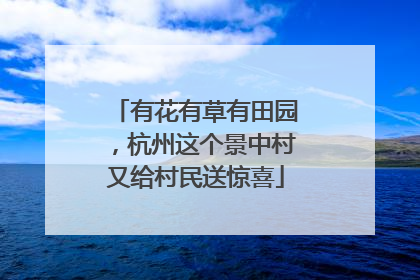 有花有草有田园，杭州这个景中村又给村民送惊喜