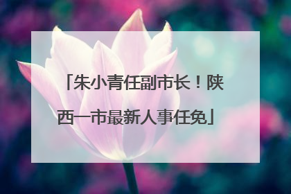 朱小青任副市长！陕西一市最新人事任免