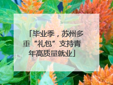 毕业季，苏州多重“礼包”支持青年高质量就业