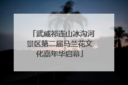武威祁连山冰沟河景区第二届马兰花文化嘉年华启幕